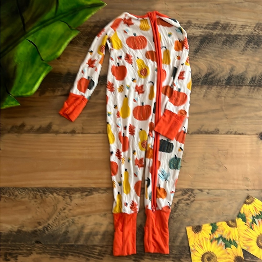 Little Sleepies fall zip up romper/onesie 6-12 months. Great condition.